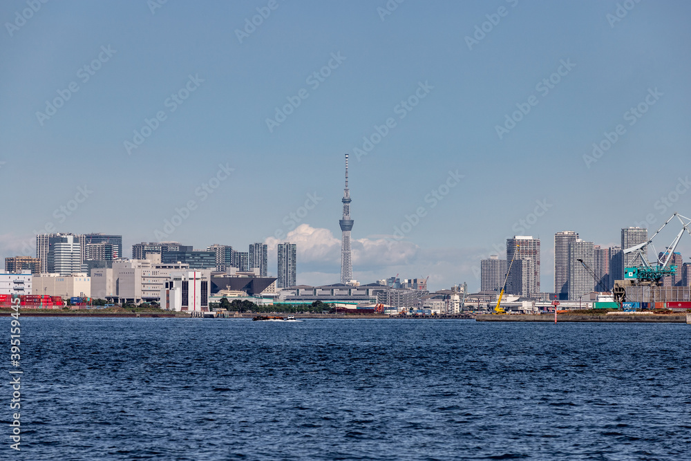 Fototapeta premium 東京港から見た東京スカイツリー