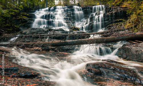 waterfall in the forest