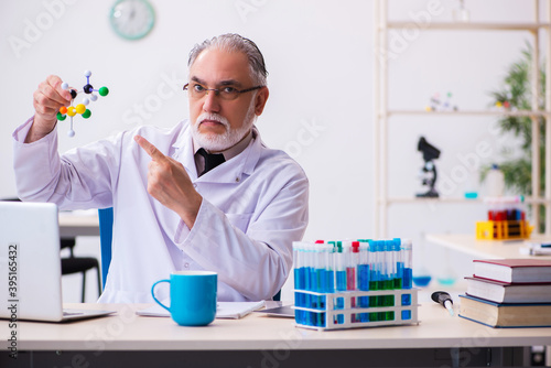 Old male scientist studying molecular model