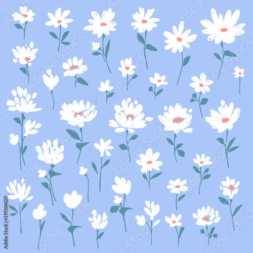 Fényképezés Abstract flower illustration material collection,