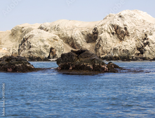 eroded rocks in the Marcona sea with seals resting