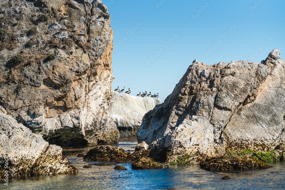 Rocky cliffs and flock of pelicans. Shell Beach, Pacific Coast, California