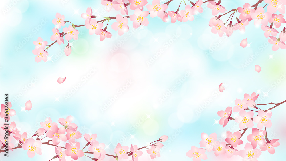 満開の桜と青空の背景素材、ベクターイラストフレーム / 横位置 満開の桜と青空の背景素材、ベクターイラストフレーム / 横位置