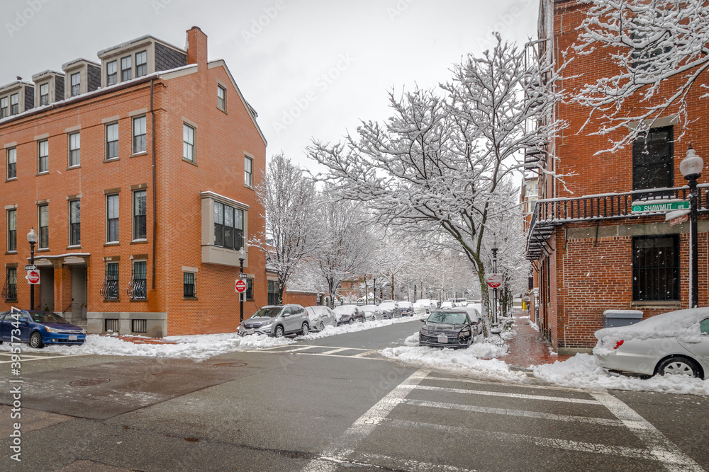 Obraz premium Freshly fallen snow clings to tree branches in Boston's South End