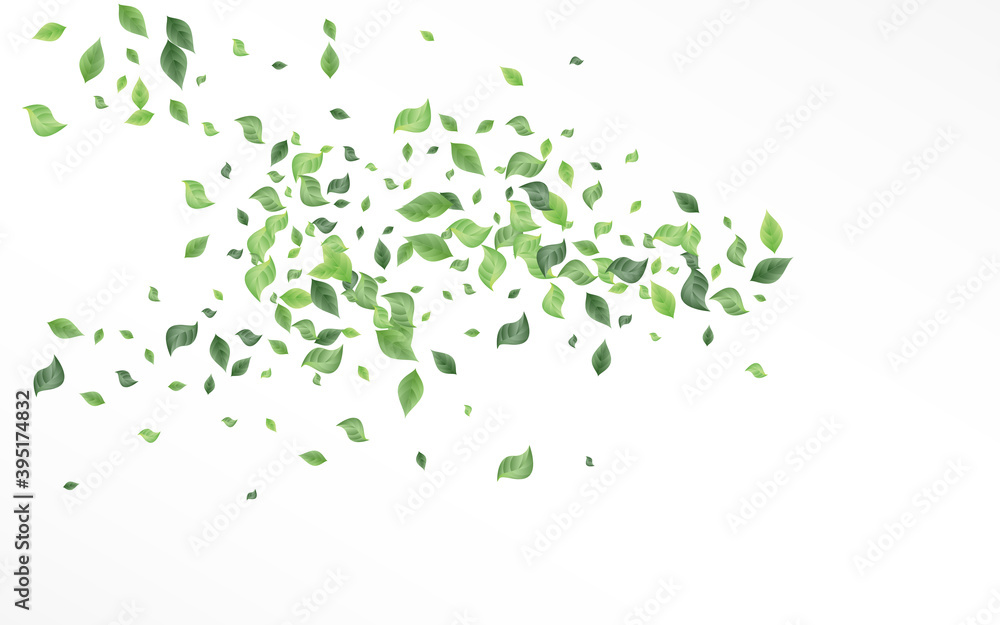 Mint Greenery Tree Vector White Background Mint Greenery Tree Vector White Background