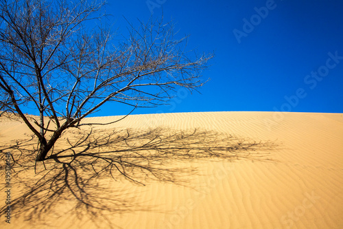 The Gobi Desert is a large desert or brushland region in East Asia.