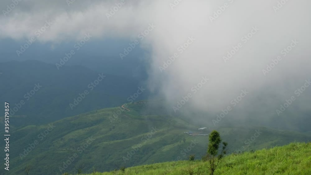 Landscape greenery rainforest and hills on foggy day