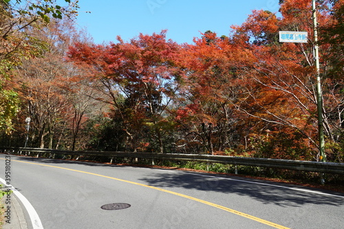 周山街道 photo