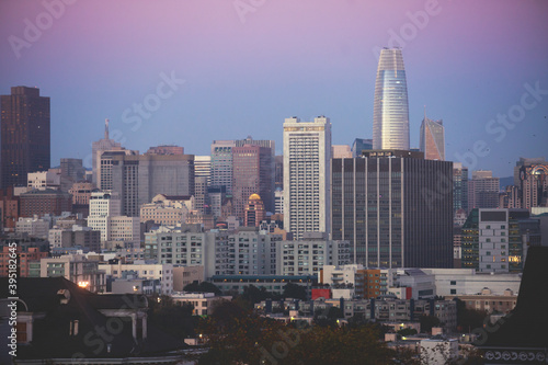 View of San Francisco streets, with Alamo square and city skyline, California, United States, summer day