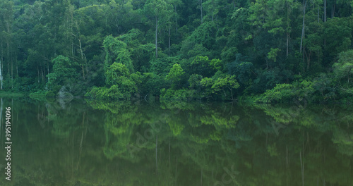 Forest plant and water reservoir