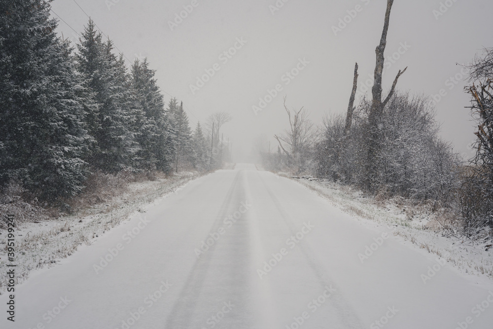 Rural Winter Landscape during Snowstorm Rural Winter Landscape during Snowstorm