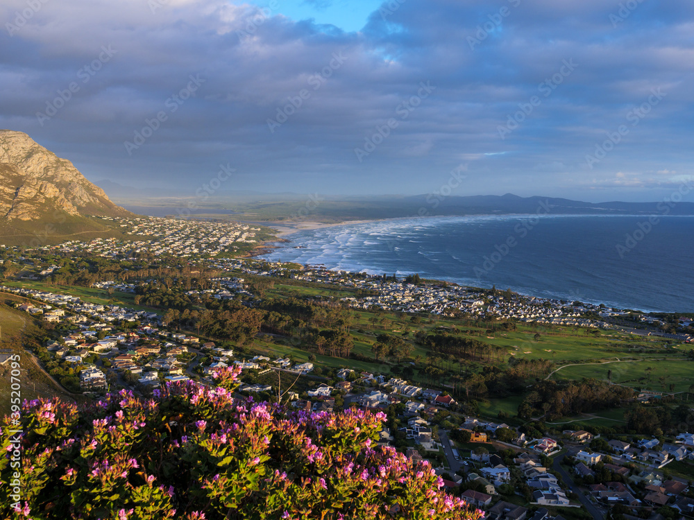 View from Ferncliff of Hermanus and Walker Bay. Whale Coast. Overberg. Western Cape. South Africa