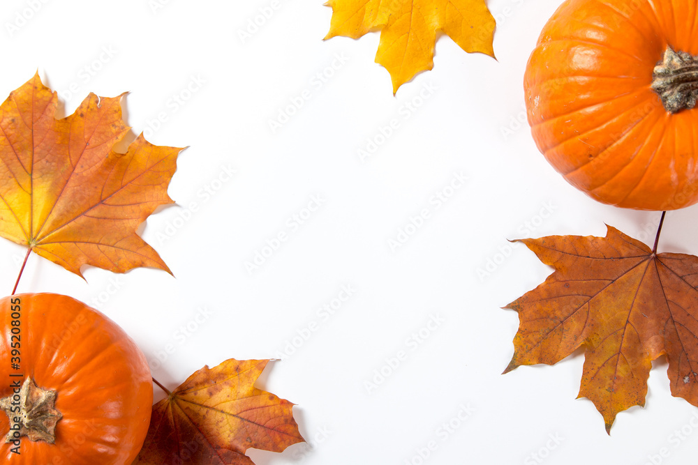 Orange pumpkin and fallen leaves on a white background. The concept of autumn template, the preparation for the text, Thanksgiving day. Copy space. Orange pumpkin and fallen leaves on a white background. The concept of autumn template, the preparation for the text, Thanksgiving day. Copy space.