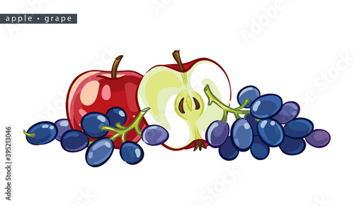 sketch_apple_and_grape_fruit_half_two_bunches_and_berries