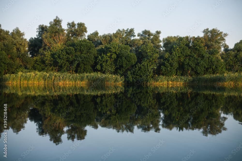 reflection of trees in water. River reflection of trees in water. River
