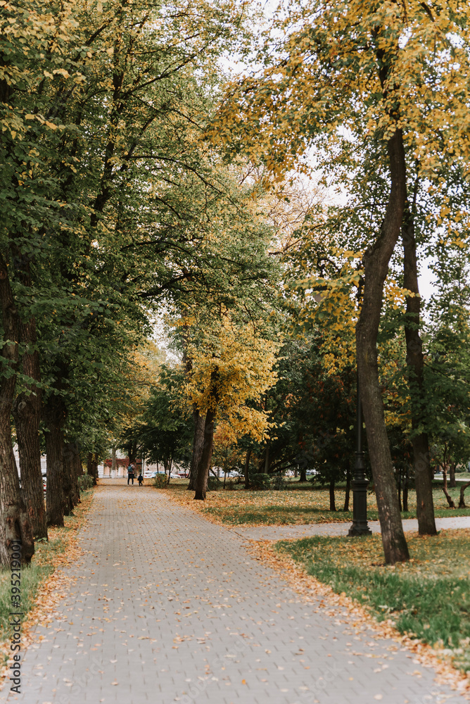 Alley in the autumn Park with a path made of paving stones