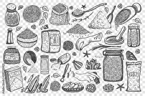 Salt doodle set. Collection of cooking spices sea salty condiments in containers and saltcellar boxes isolated on transparent background. Pepper shaker and granular supplements in kitchen illustration