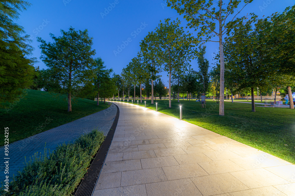 Maple alley in French garden in public landscape city park Krasnodar or Galitsky park . Wooden circular brown benches around maple trees