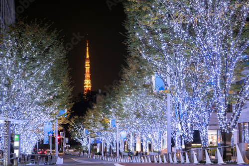 Photography Illuminated Roppongi Keyakizaka Street and Tokyo Tower during winter　六本木けやき坂のクリス