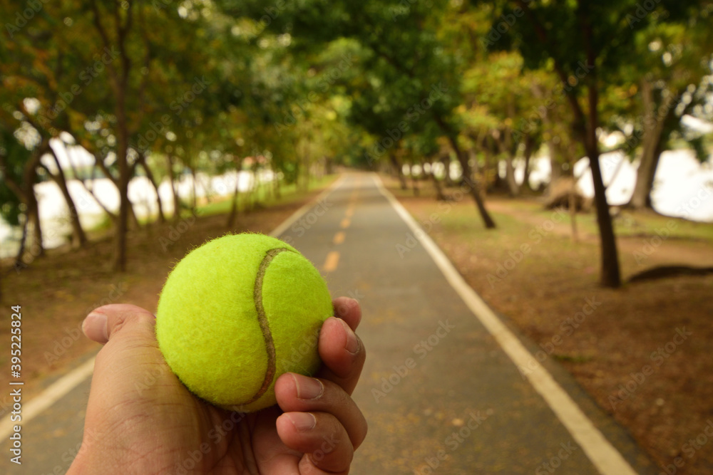 tennis ball in the hand