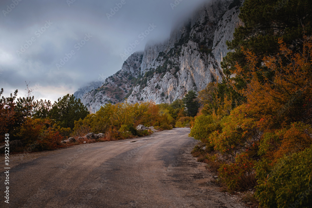 Landscape with beautiful empty mountain road , high rocks, trees and cloudy sky. Landscape with beautiful empty mountain road , high rocks, trees and cloudy sky.