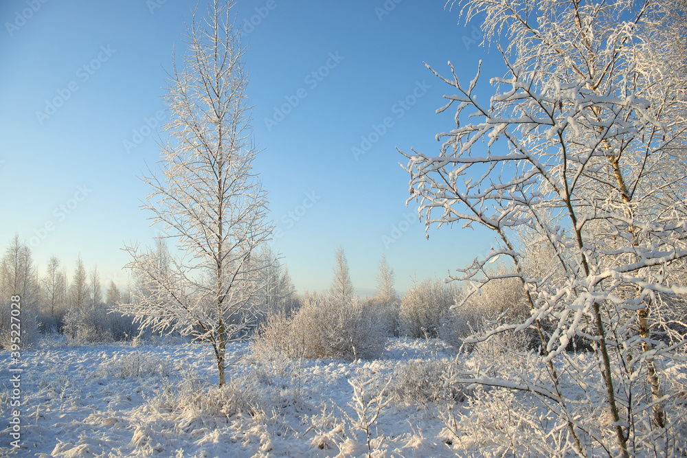 winter landscape with blue sky background winter landscape with blue sky background