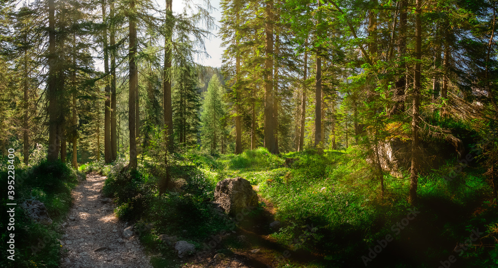 Obraz premium Asiago's landscape - Italy 2020