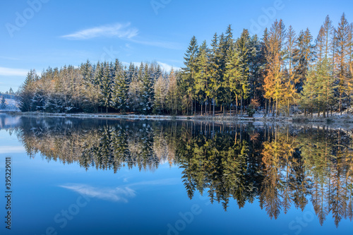 Beautiful Reflections of spruce tree covered by snow in Lake blue water, Czech Republic, Vysocina Europe nature