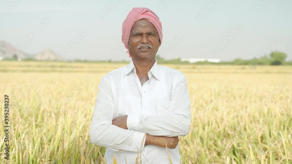 Portrait of Confident smiling Indian farmer with arms crossed standing in front of agriculture farmland looking camera Portrait of Confident smiling Indian farmer with arms crossed standing in front of agriculture farmland looking camera