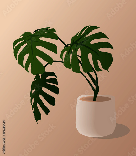 illustration of a plant