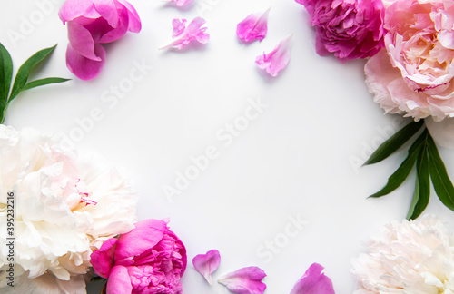 Peony flowers on a white background © Olena Rudo