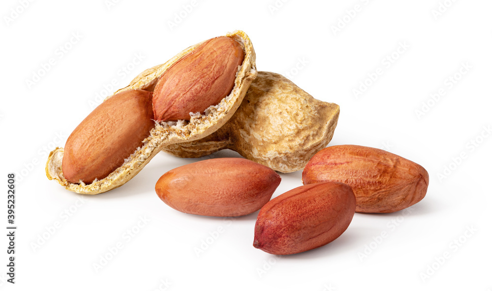 Peanut on a white Peanut on a white