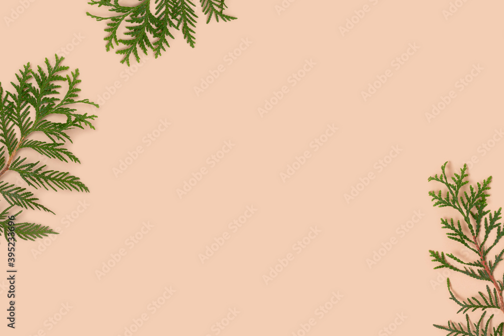 Frame made of coniferous branches on a beige background. Nature concept with place for text.