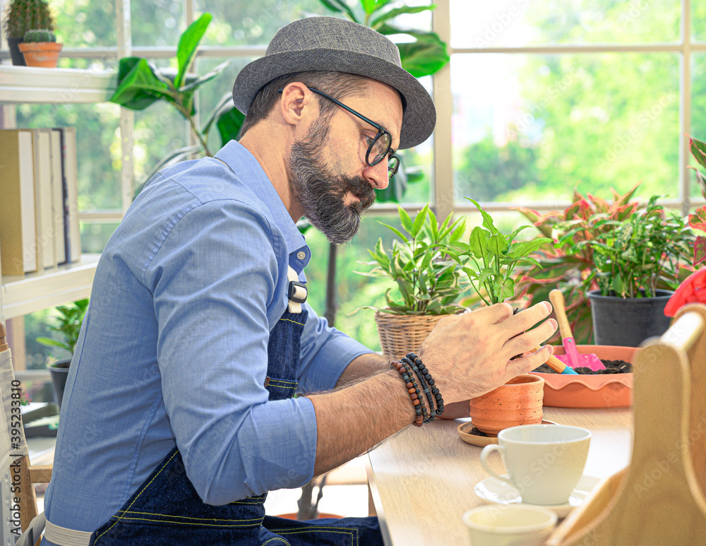 Relax hobbies lifestyle of Caucasian male wearing apron planting in the room at home. Relax hobbies lifestyle of Caucasian male wearing apron planting in the room at home.