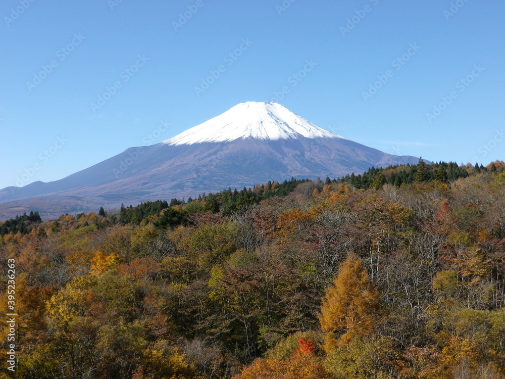 頂に雪が積もった富士山