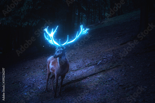 Ein Hirsch mit blau leuchtendem Geweih steht im dunklen Wald photo