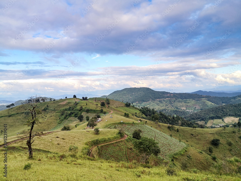 Fototapeta premium Grass field on the mountain.