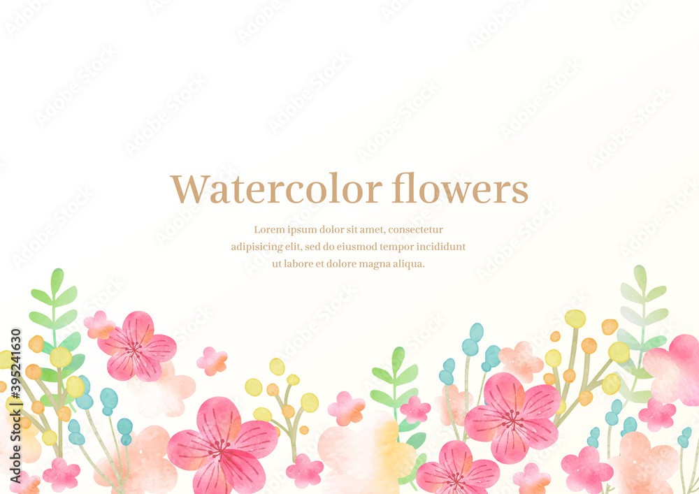 Obraz watercolor plum flower frame 水彩ベクターの梅のフレーム