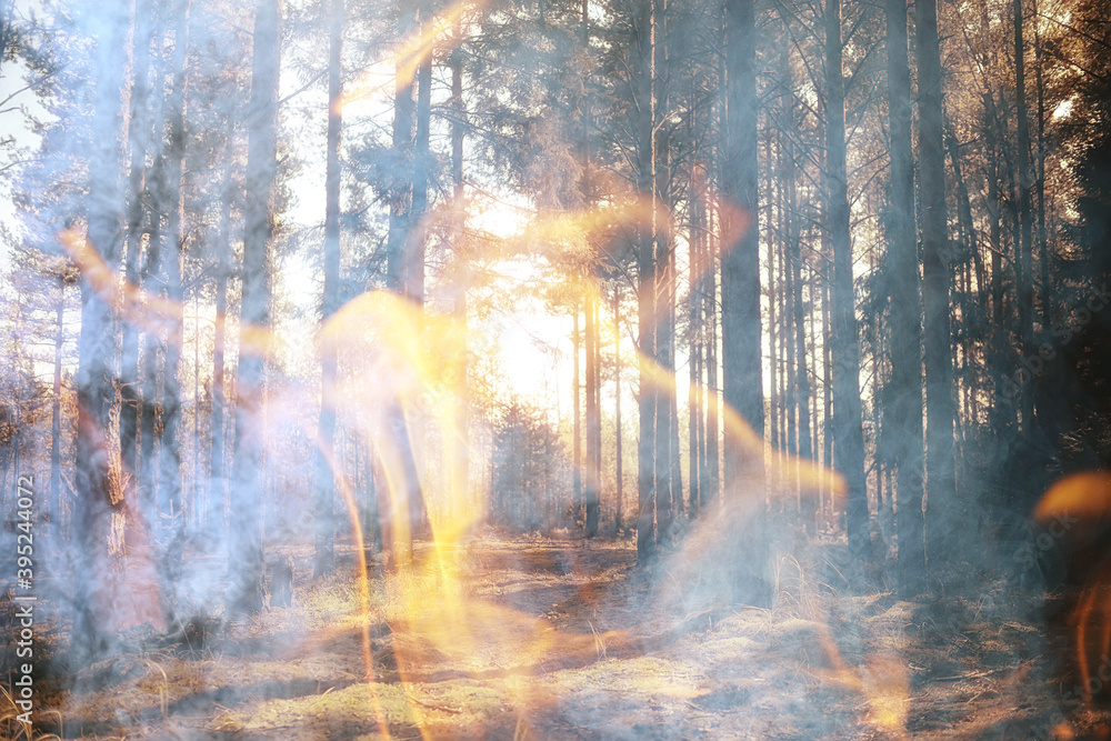 abstract landscape fire flame in the forest, wildfire background, ecology disaster