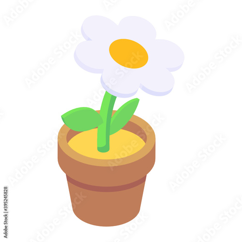 
Isometric icon of potted daisy plant, indoor home decor  
