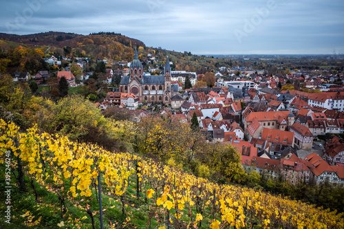 view of heppenheim bergstrasse, vineyards photo