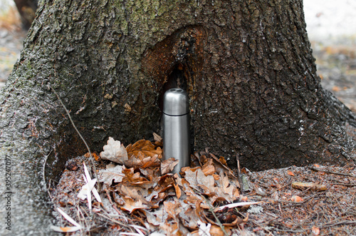 Vacuum thermos standing on fallen oak leaves outside in the forest. Traveling aluminum flask. Concept for travel, hike, adventure, picnic.