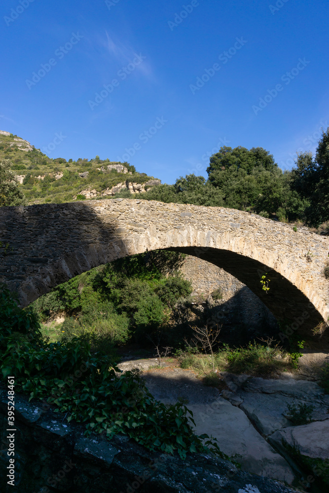 Stone bridge in the middle of the forest
