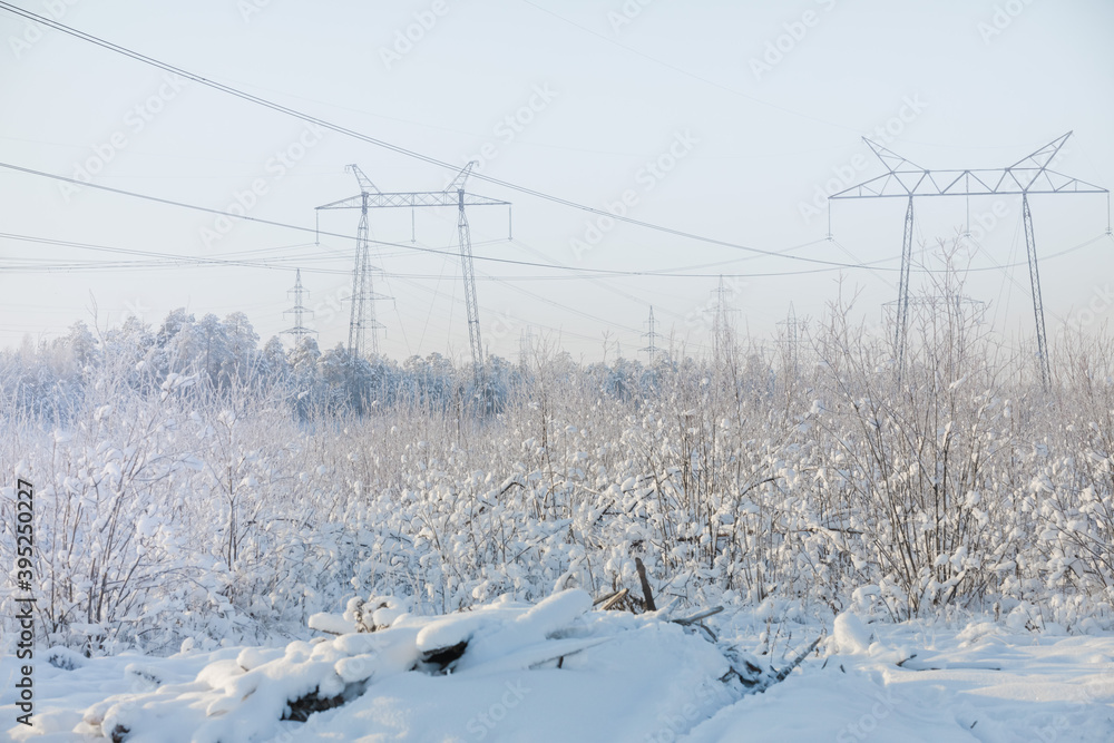 Winter landscape with frozen trees and a high-voltage power line in the Golden hour.