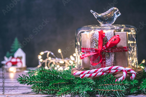 
Christmas gift box in a glass cloche bell jar and christmas lights  isolated on dark background. Christmas background with copy space. photo
