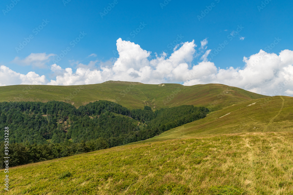 Valcan mountains with Coarnele hill, meadows, forest and smaller rocks in Romania