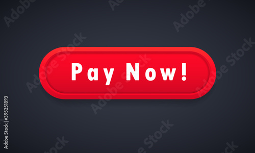 Pay now button. E-commerce concept. Payment online. Vector on isolated background. EPS 10