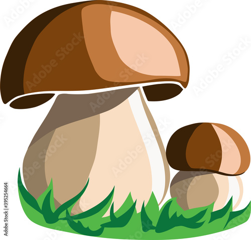 Vector image of two mushrooms in the grass isolated on the white background.