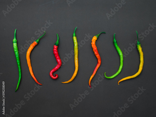 Chili peppers isolated on dark background