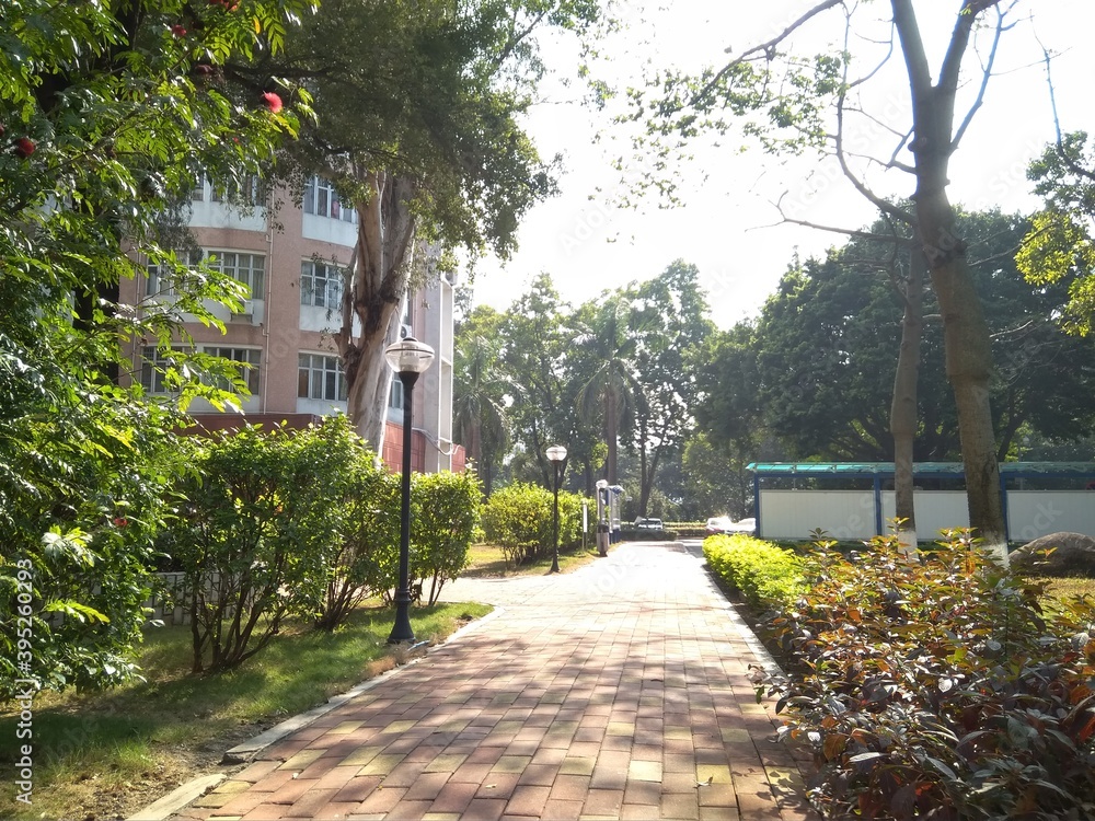 Jinan University at Guangzhou, Tianhe district, China
